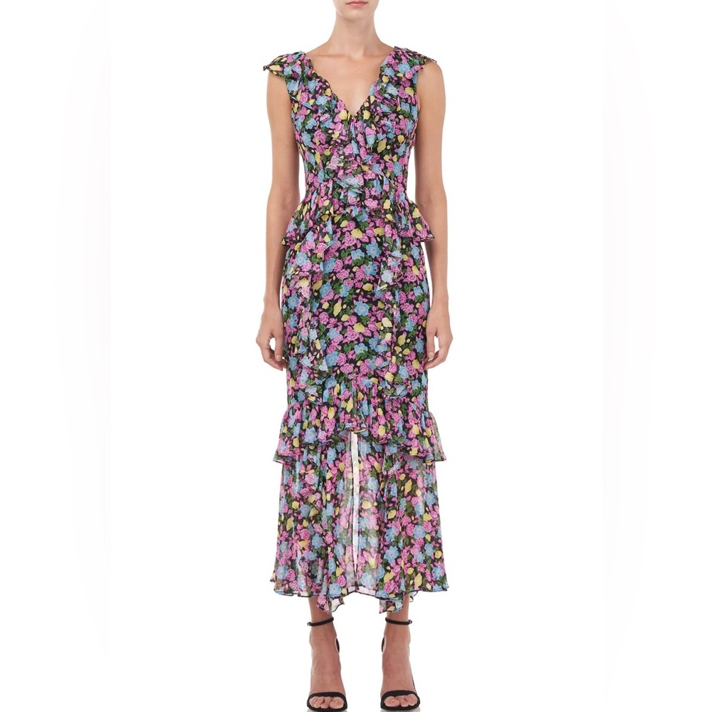 AMUR- Evita Dress NWT